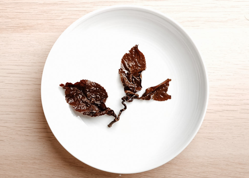 Golden Dragon- GABA Oolong 2023