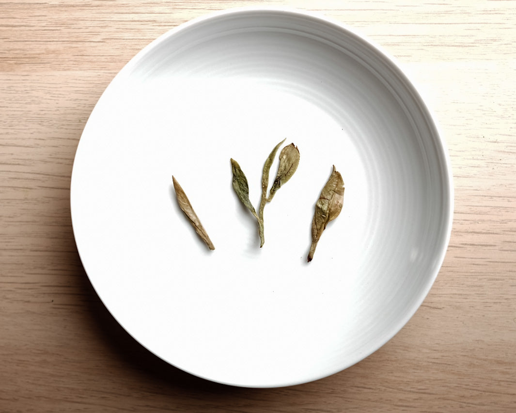 Dragonwell Chinese Green Tea 2021