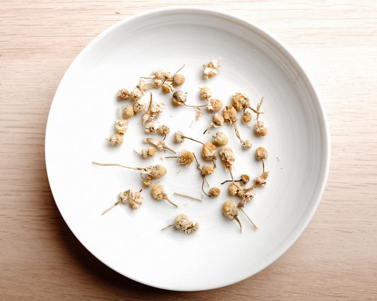 Croatian Chamomile